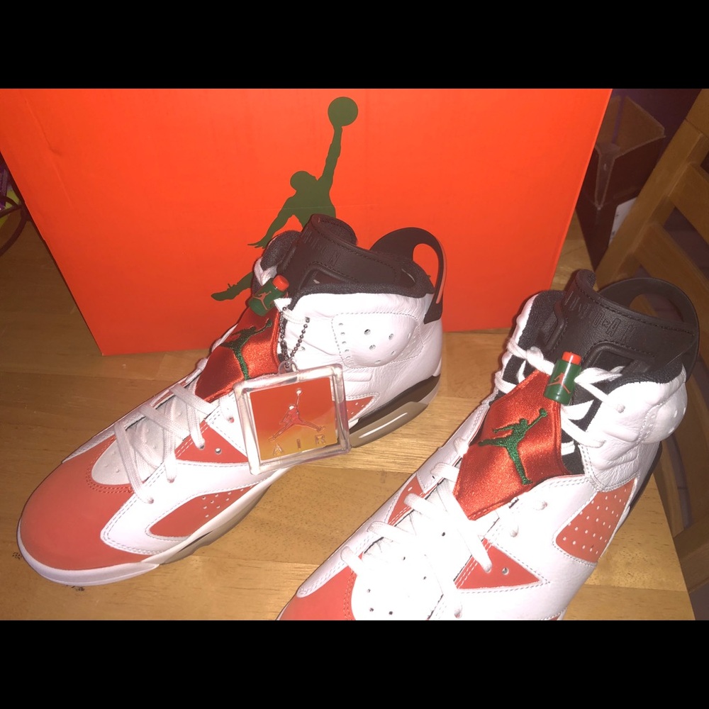 Jordan retro 6 Gatorades